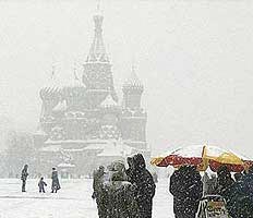 Непогода оставила без света московский регион и Ленобласть