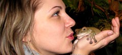 В Тульском зооэкзотариуме посетителям предлагают поцеловать лягушку