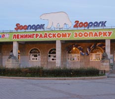 В Петербурге нашли подрядчика для зоопарка
