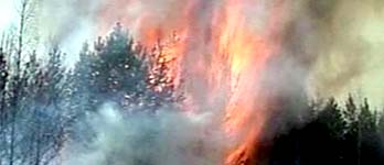Пожар в уральском заповеднике, горевший с середины июля, потушили