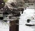В Цемесской бухте произошел разлив нефтепродуктов