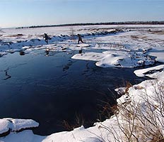Из-за повреждения нефтепровода в Иркутской области вылились тонны нефти 